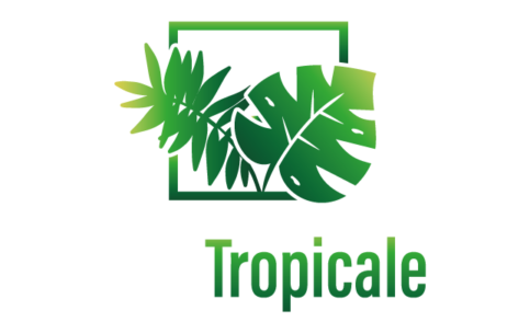 Passion-Tropicale-MBC-logo-web-blanc